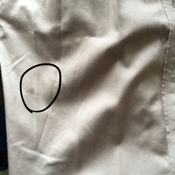 Beautiful Button-Down - Picture 8 of 8